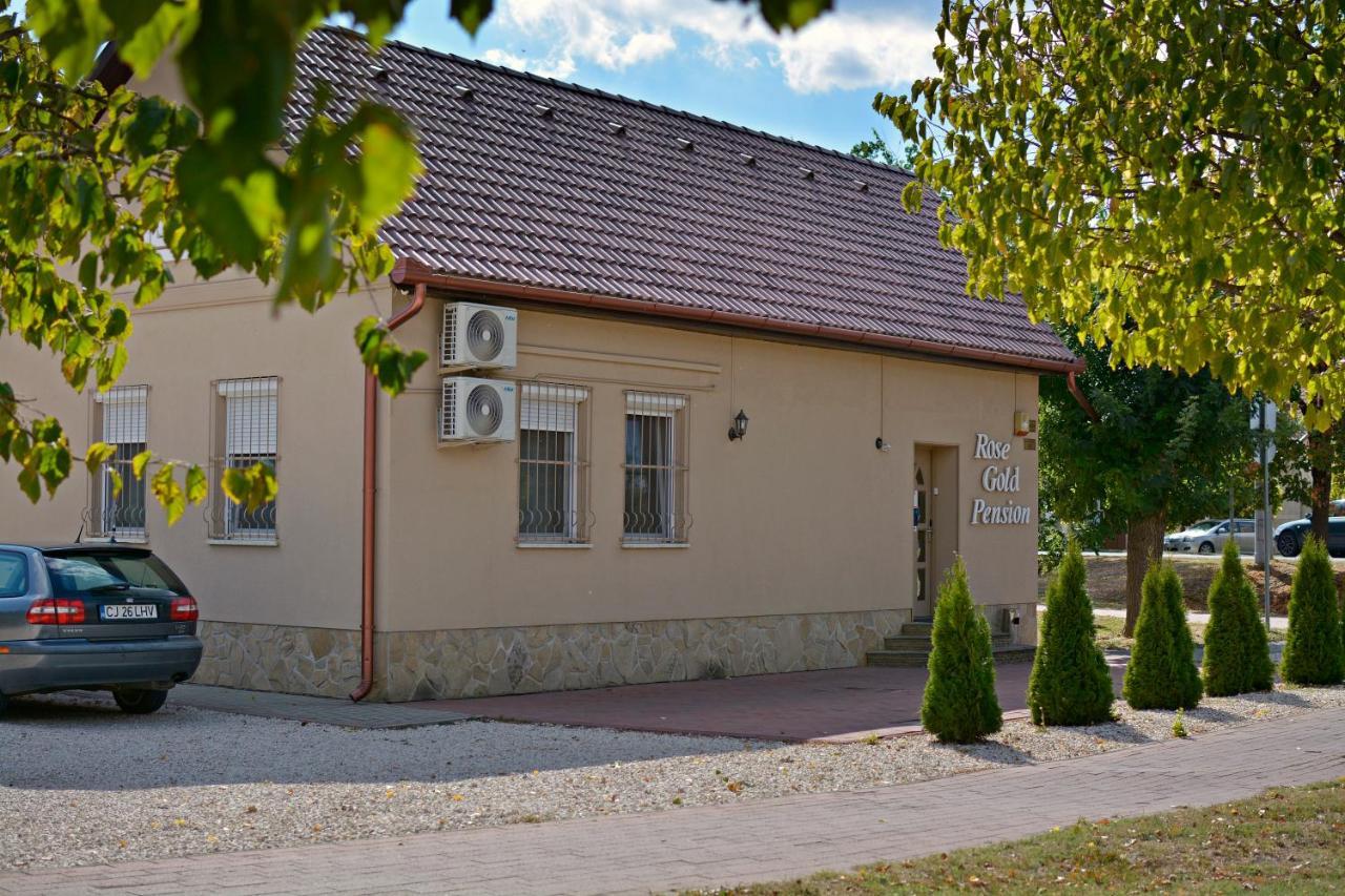 R.Gold Apartman Makó Exterior foto